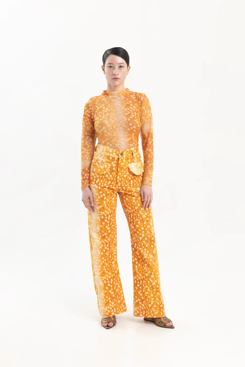 <strong>CIRCÉ</StRONG><BR>Mycelium Orange Top