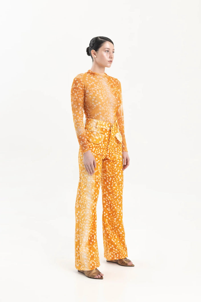 <strong>CIRCÉ</StRONG><BR>Mycelium Orange Top