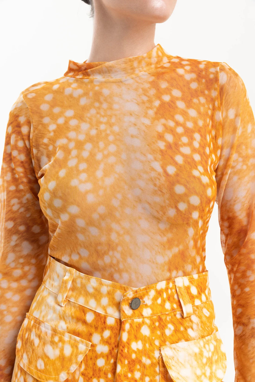 <strong>CIRCÉ</StRONG><BR>Mycelium Orange Top
