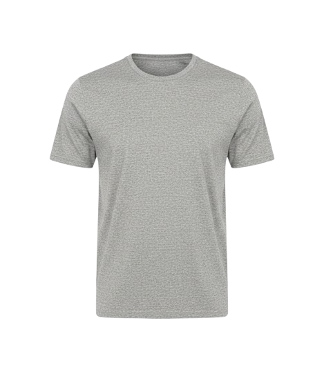 <strong>JUAN SILVESTRE</strong><br>Gaira T-shirt Grey