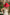 op-down view of woman in neutral linen outfit and red hat with feather, captured in a quiet tropical setting under filtered sunlight.
